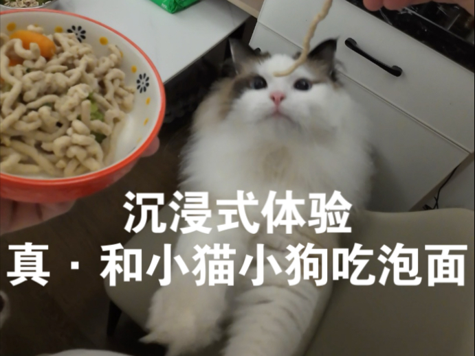 能一起吃泡面的，都是很特别的存在。