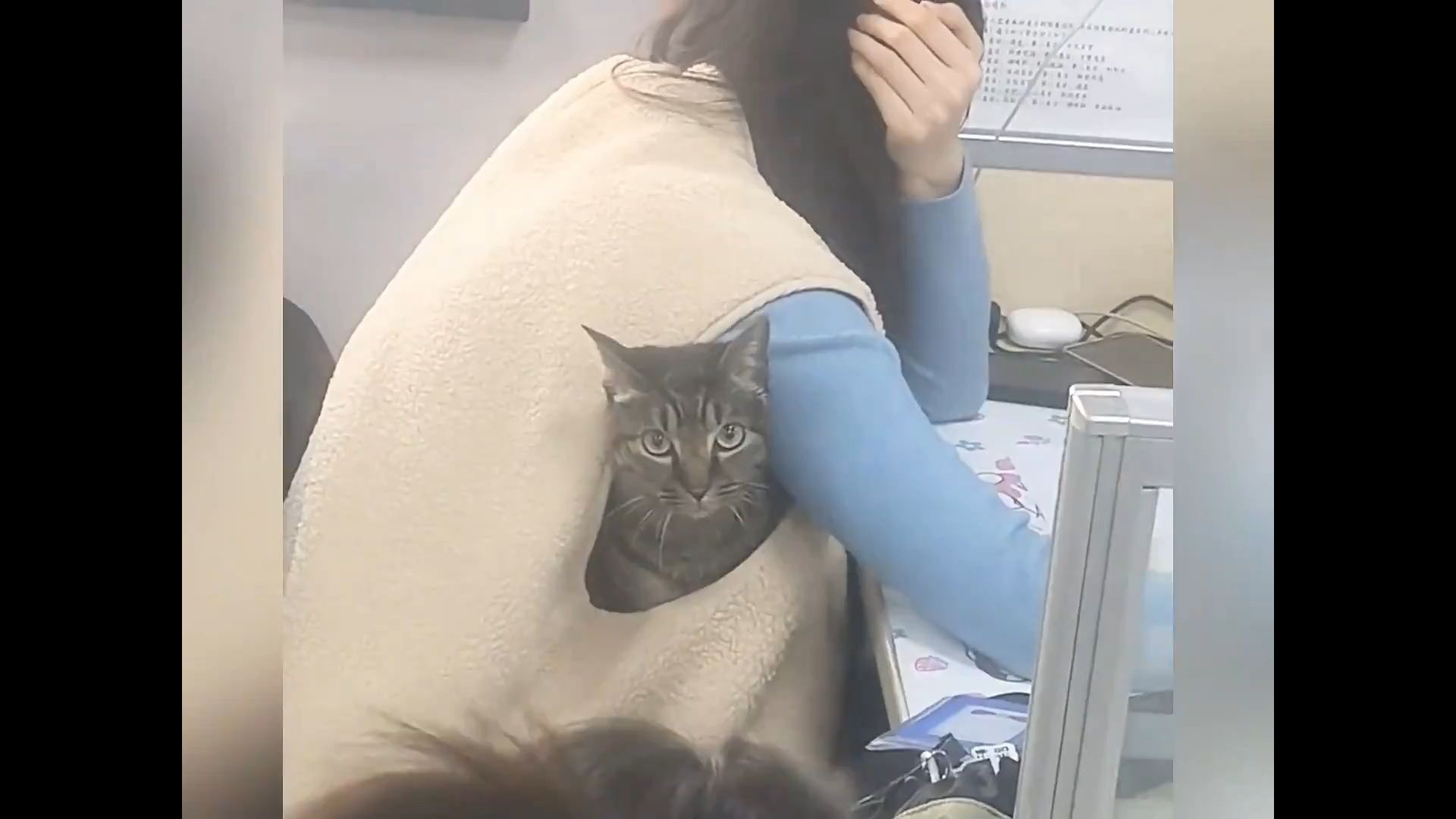 “学校里不能没有小猫咪！大家同意吗？”