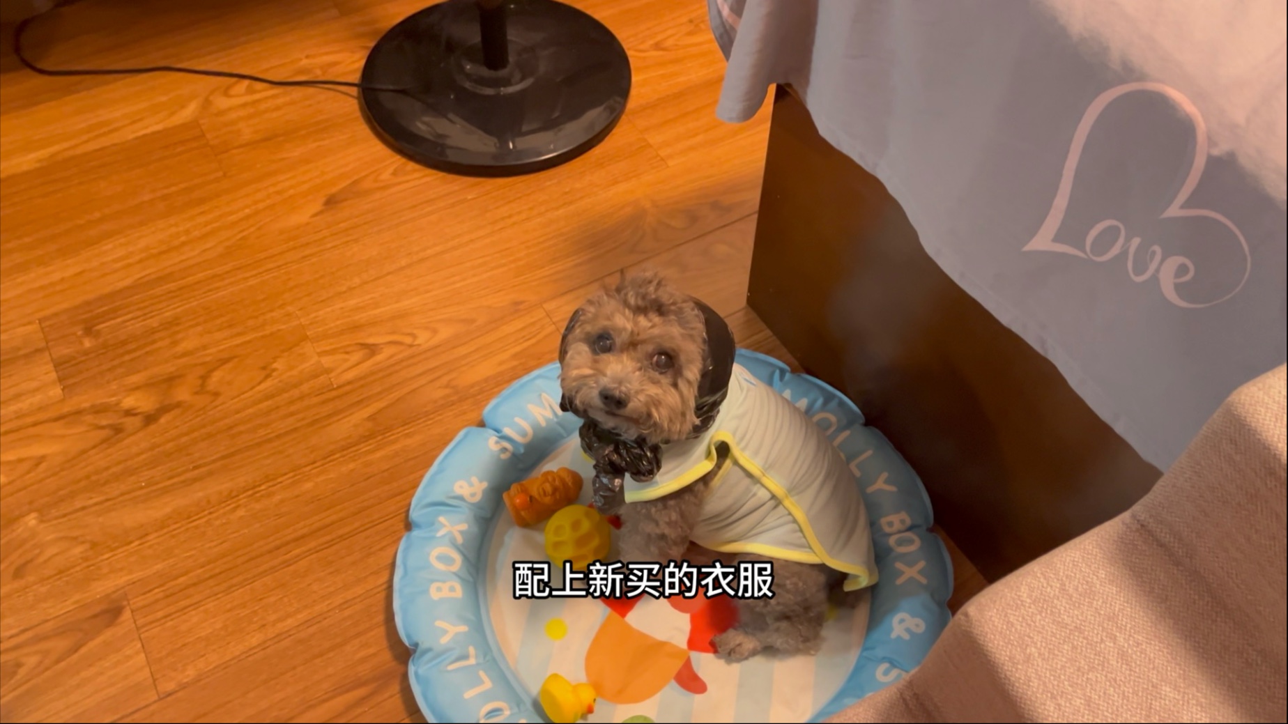 最近都没怎么更新，因为在忙着给他减肥。实在是太胖了，年纪大了