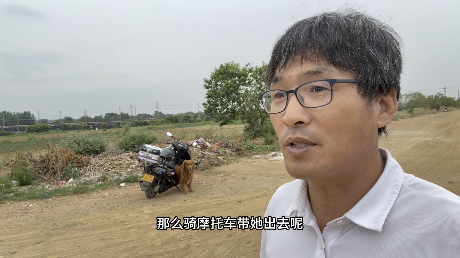 大金毛在老家玩得很嗨，主人找工作却处处碰壁