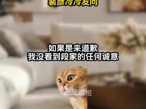 恶毒女配是我闺蜜《团宠跟班》第19集
