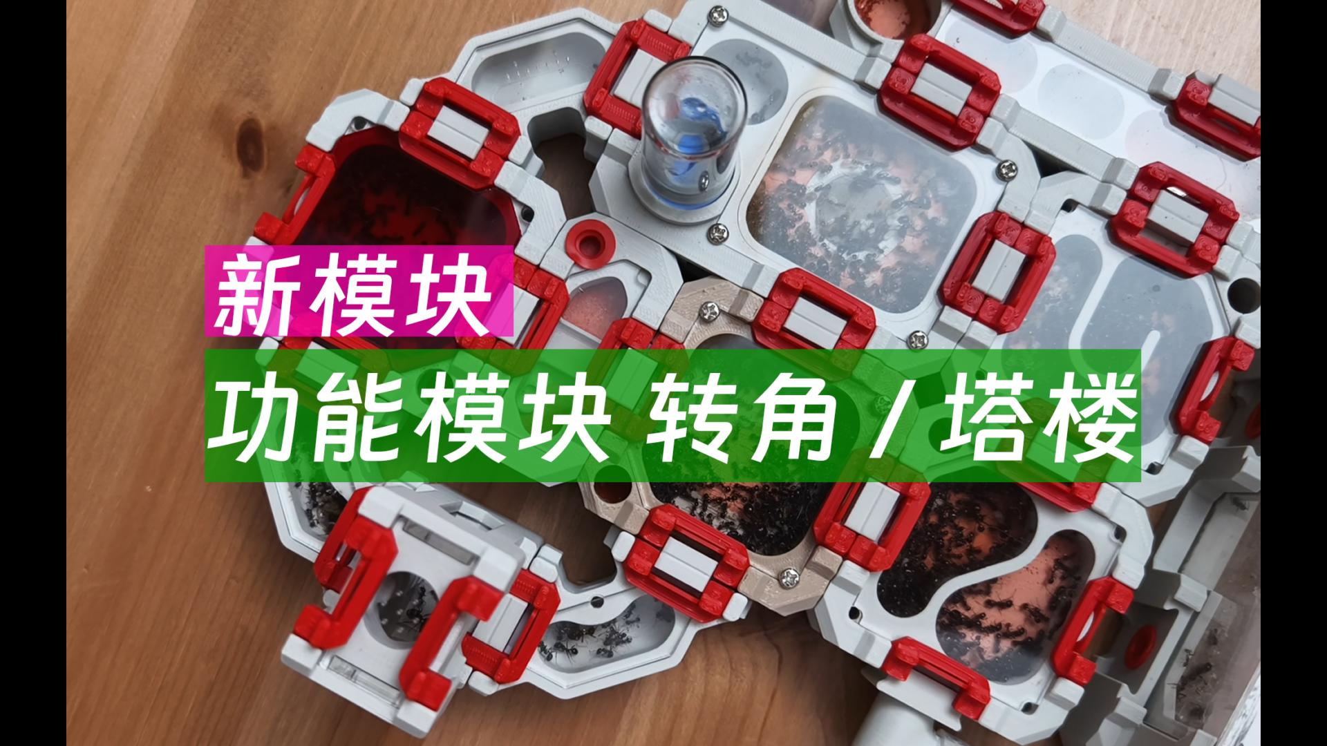 转角和塔楼，发布2个功能模块，玩疯了~