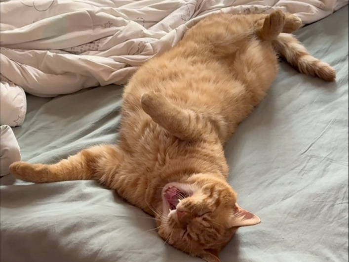 又添加新成员了哈哈哈