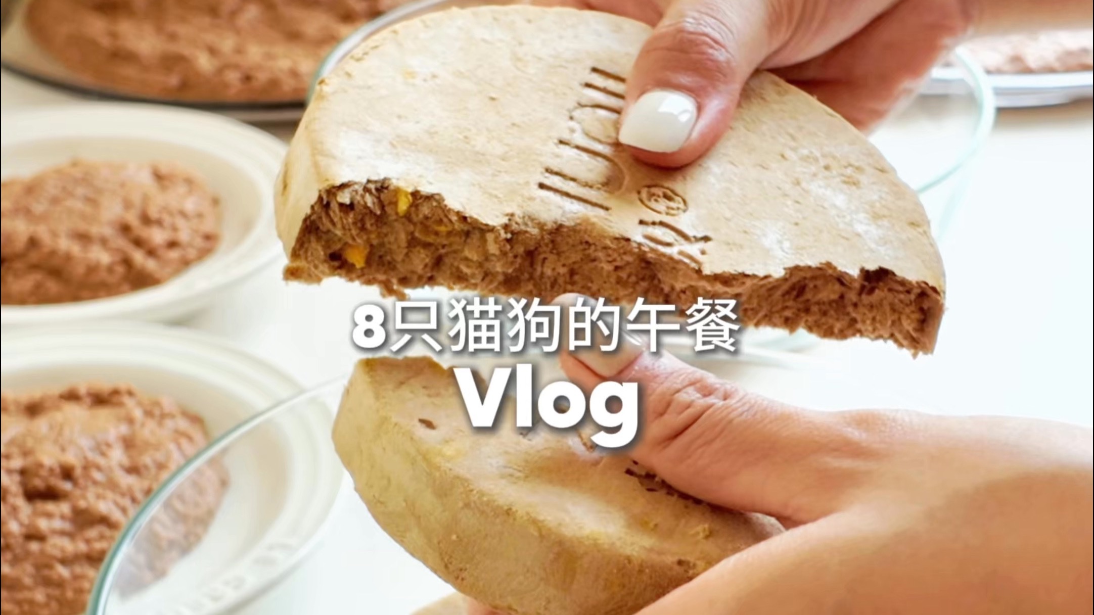 Vlo.518 没什么了 比脸还大的冻干饼而已