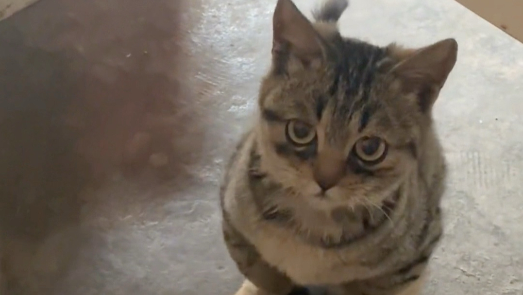 “万里晴空，我只看到你面容”