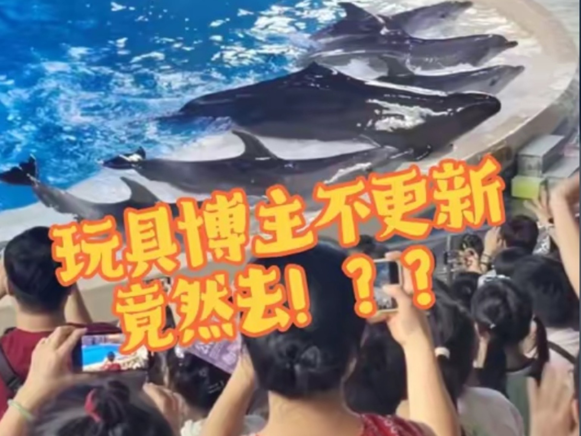 玩具博主不更新了？竟然去做这种事！！#长隆海洋王国 #小靓仔布鲁