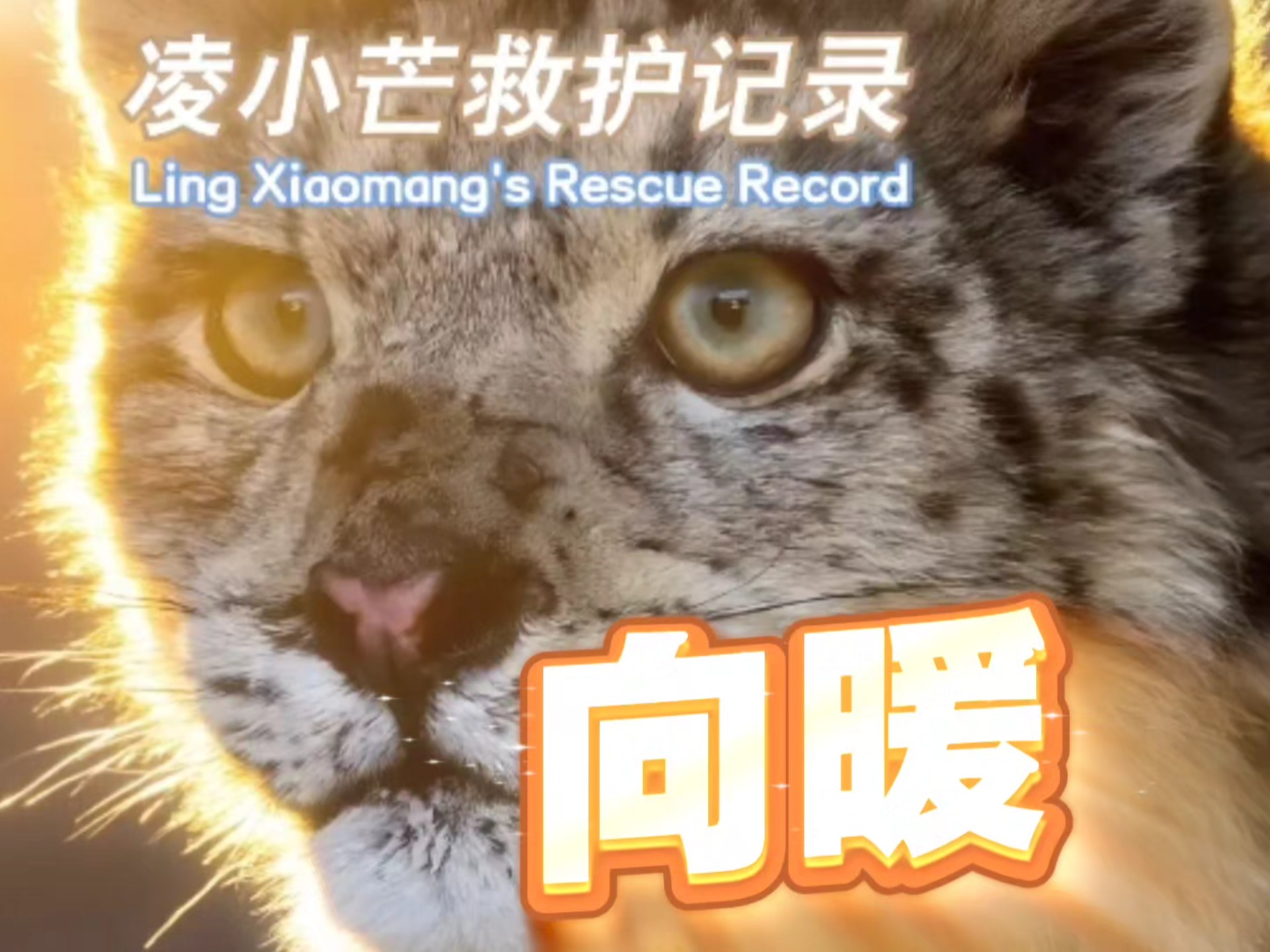 凌小芒救护记录《向暖》