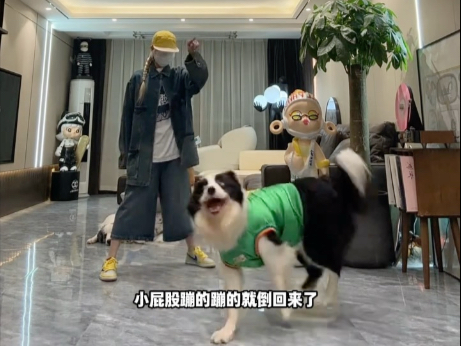 森蒂跳舞那个认真啊，那眼神 那专注度 我真的比不了！