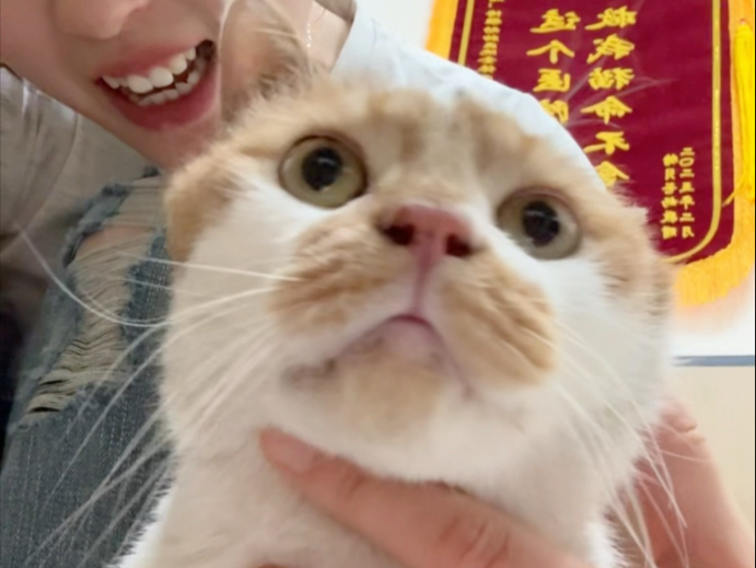 努力赚钱的意义