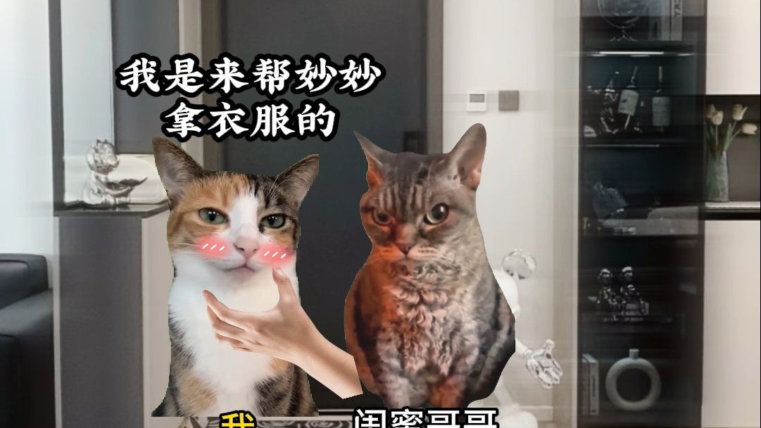 迷人情侣1+2