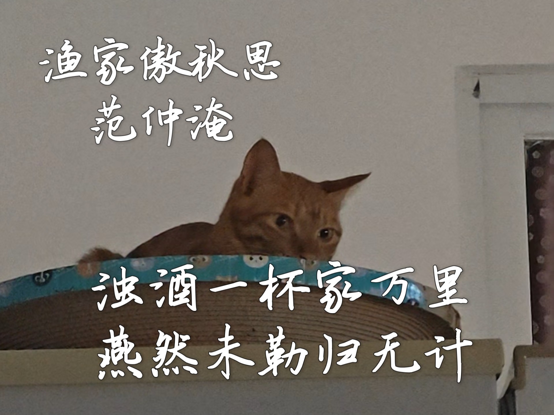 浊酒一杯家万里，敬秋天，敬迢迢故乡