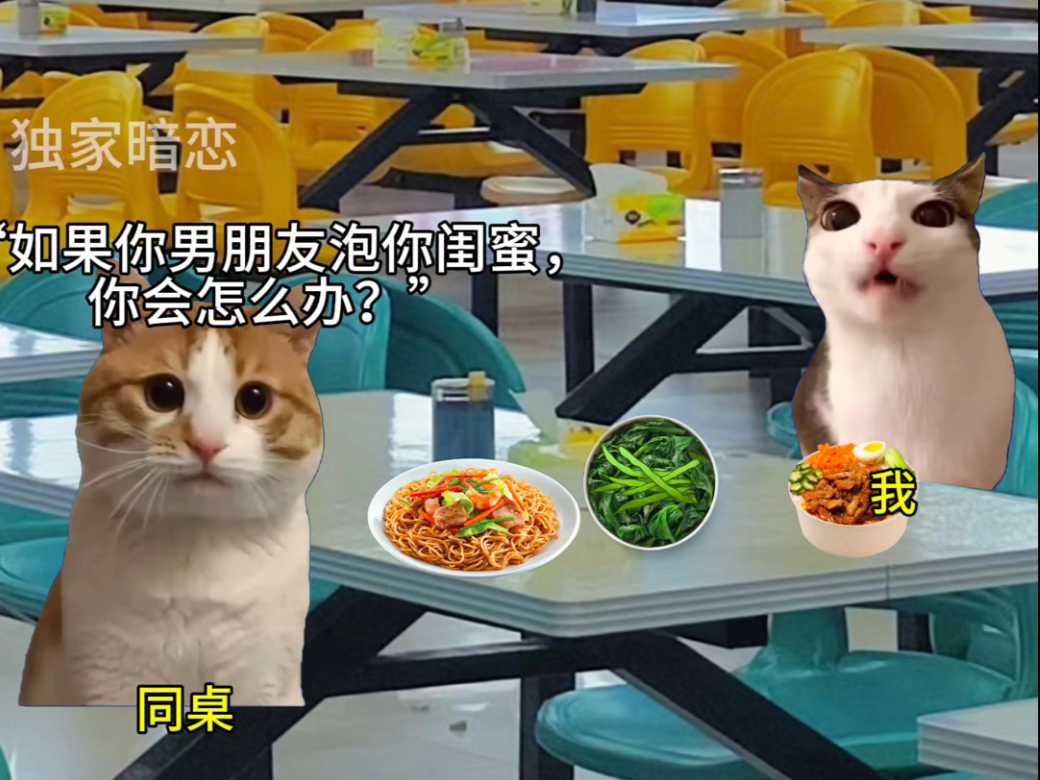 当你被假闺蜜抢了对象后4