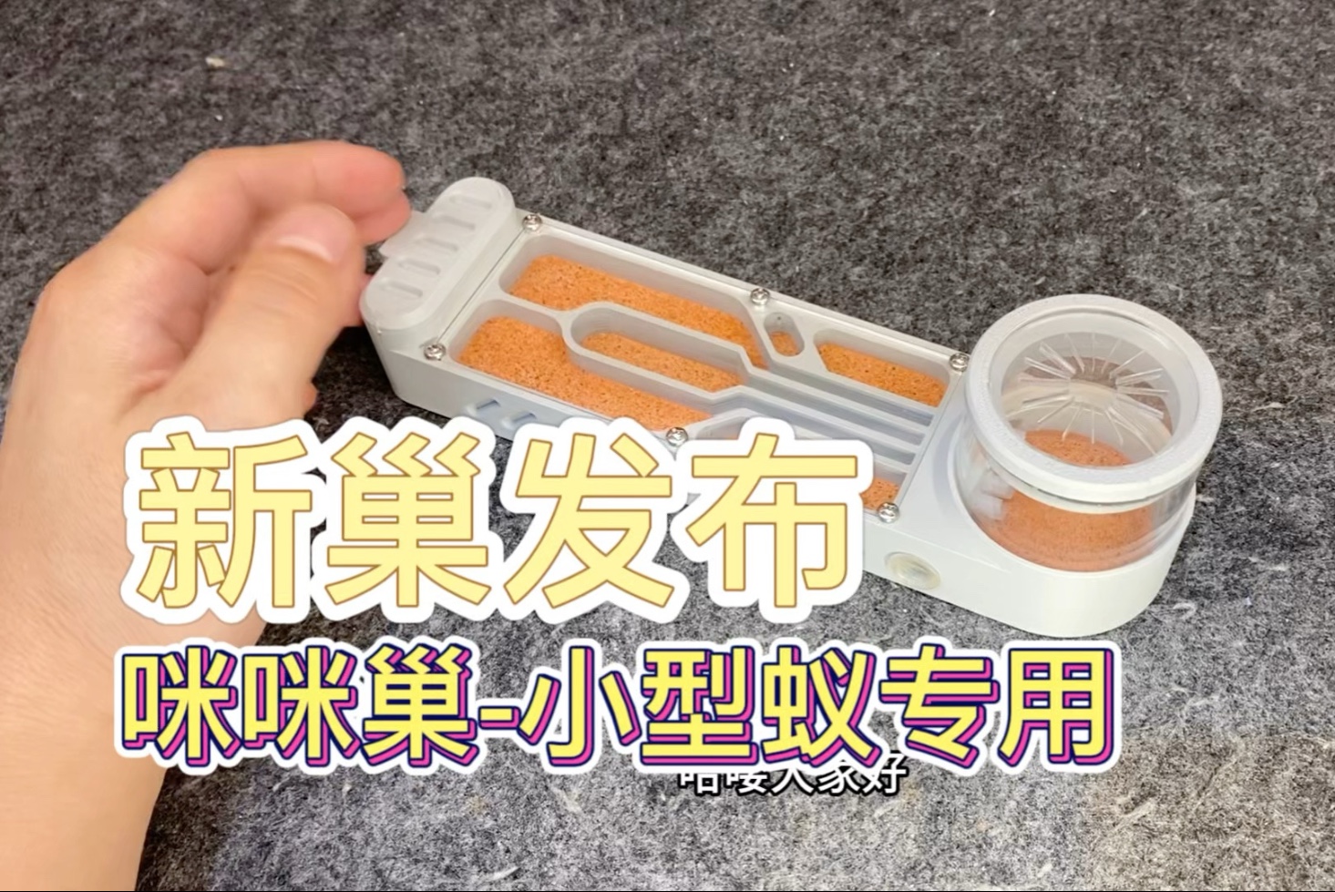新品发布：咪咪巢-小型蚁专用