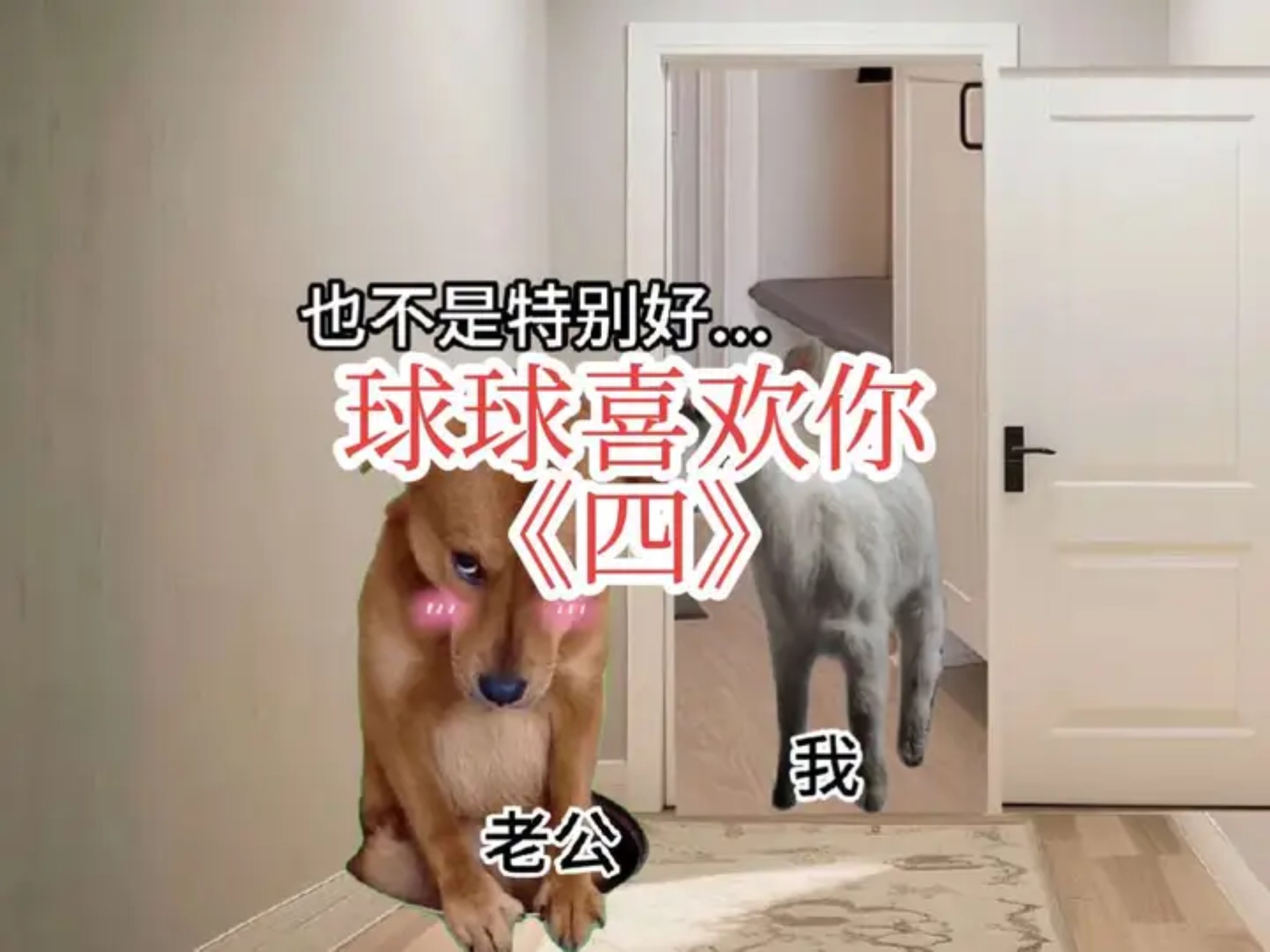 《球球喜欢你》第四集