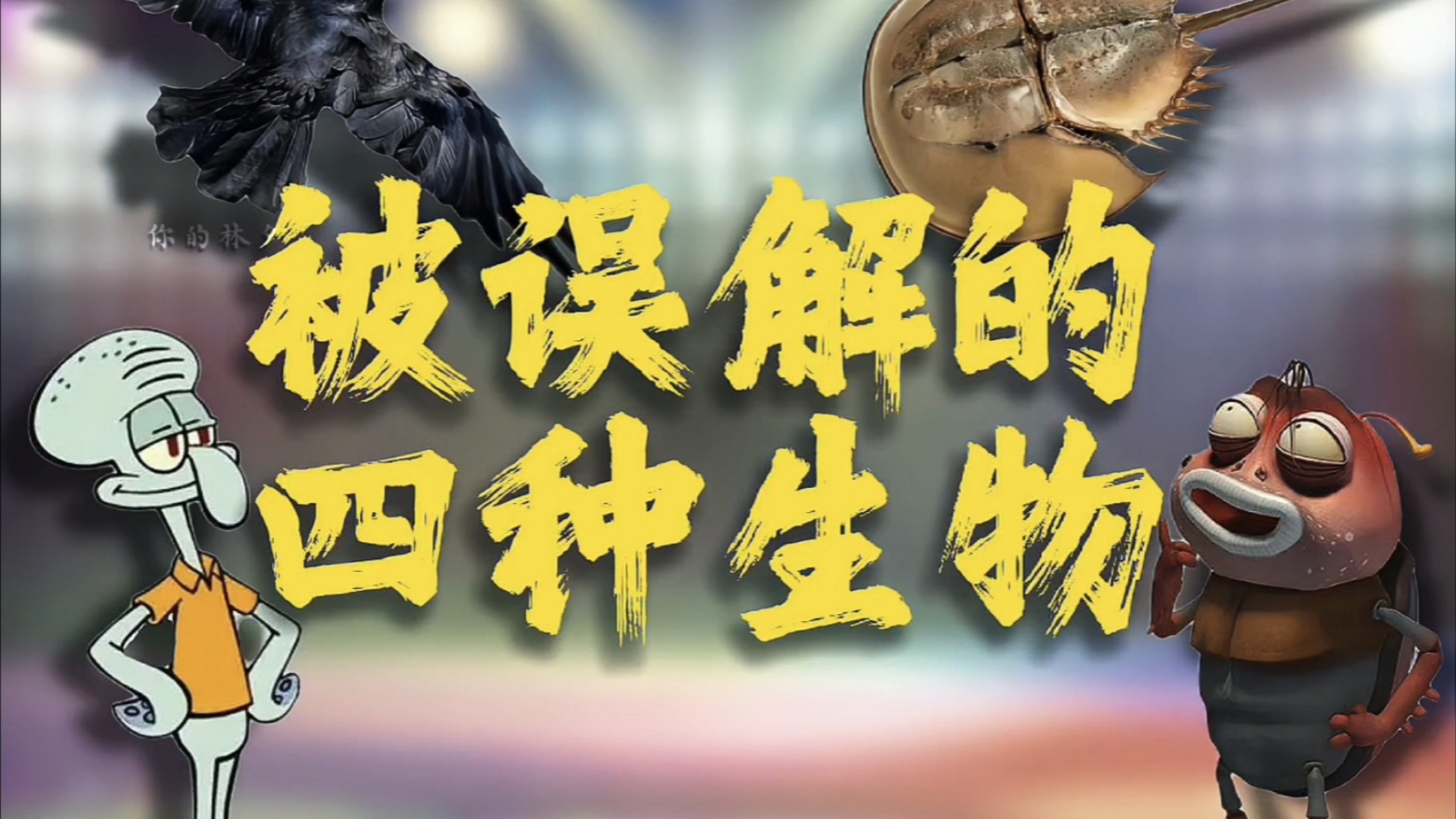 经常被误解的四种动物，你了解过它们吗
