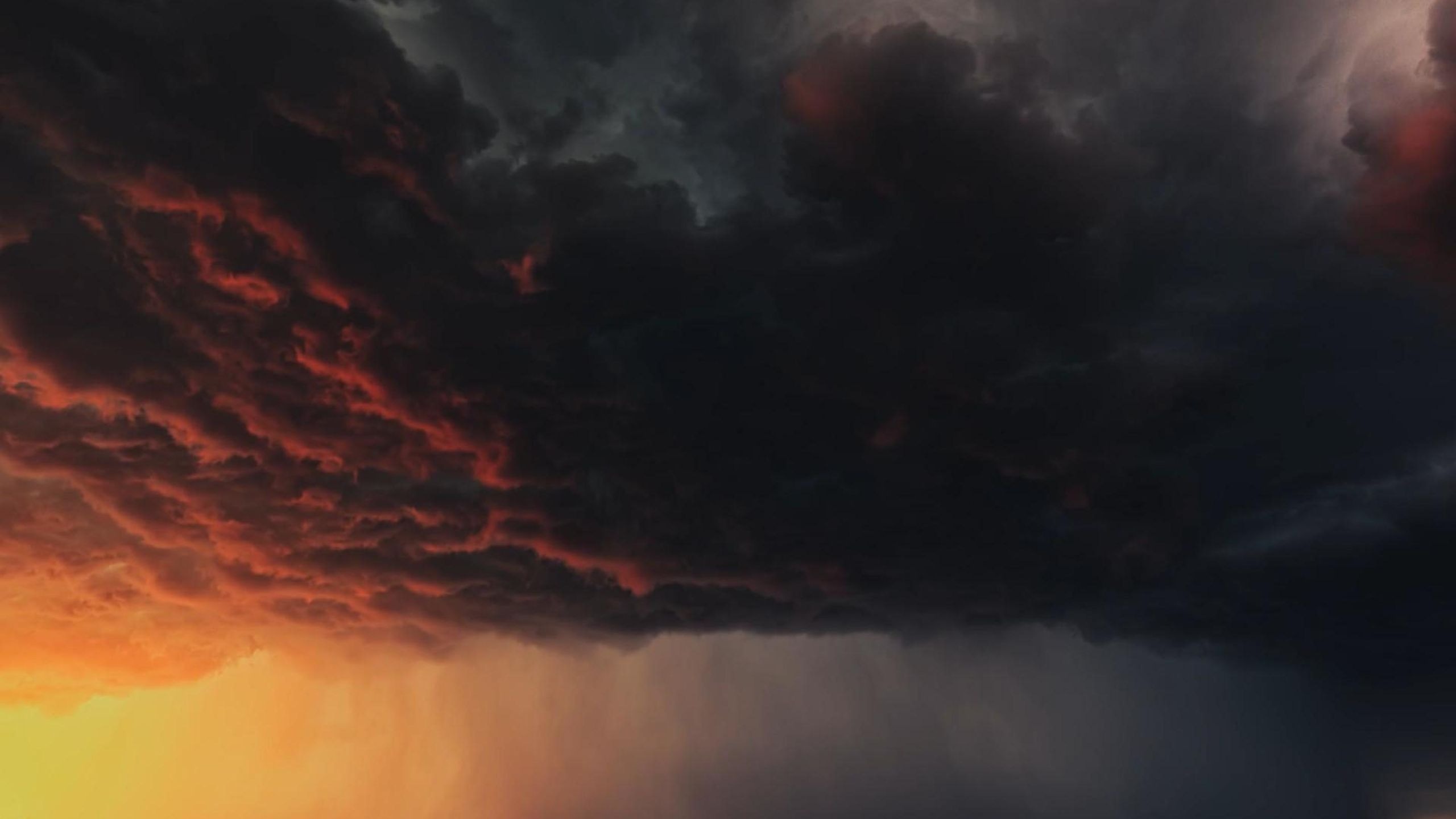 “雷火洗礼草原，蹄声踏绿归来”