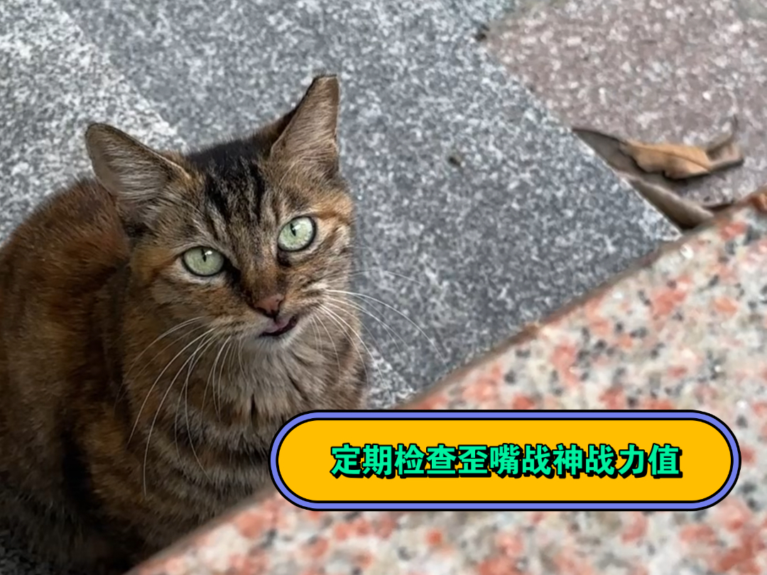 真别说 她笑起来挺萌的