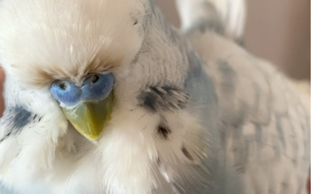 哼！这是对你五天不理我的报复！