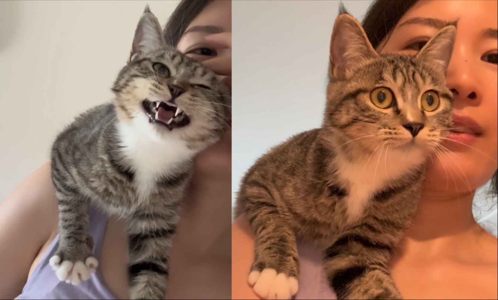 小狸最新视频照片还没空整理，在新家很好，先看下库存吧，周末有空