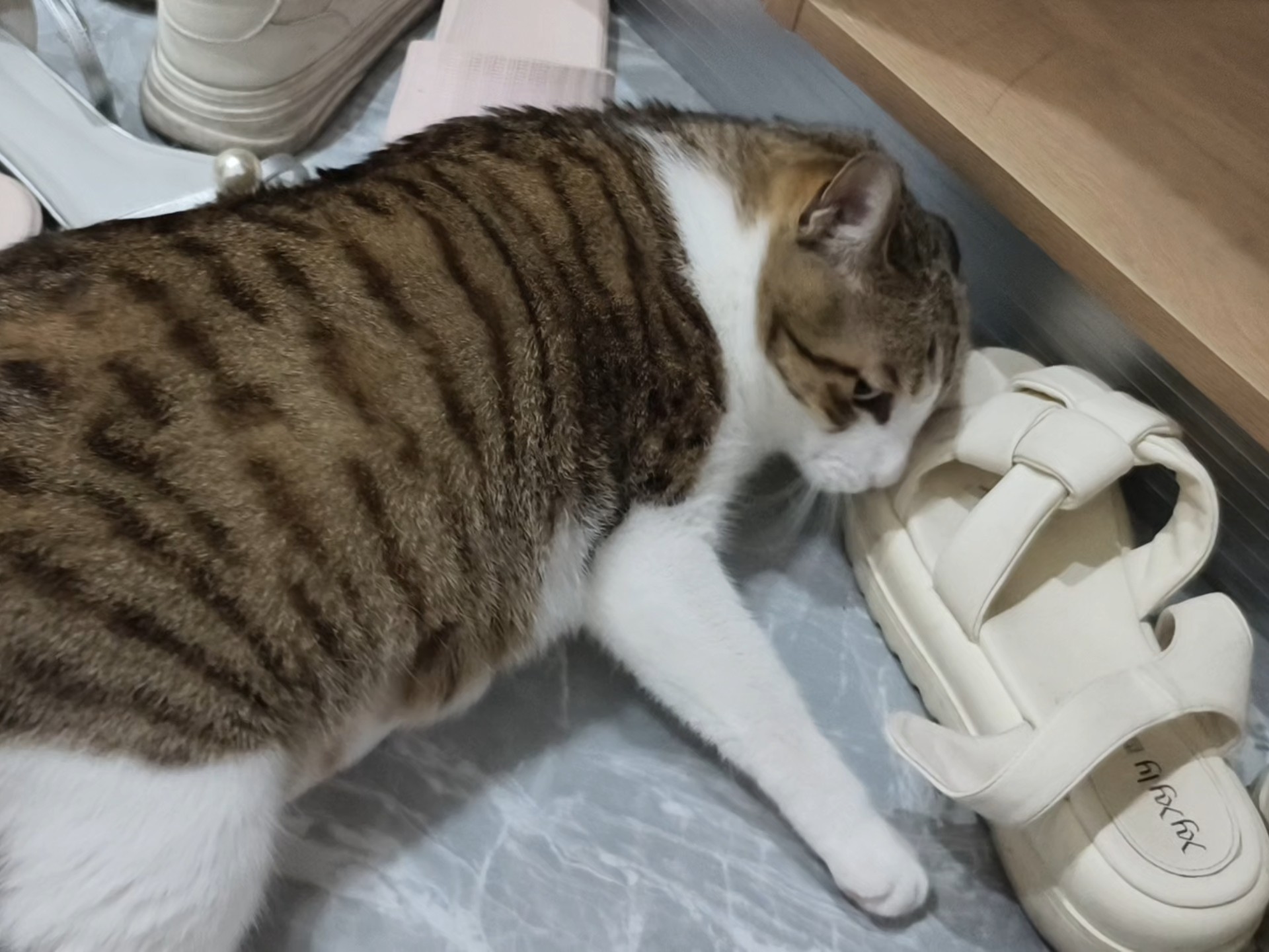 很糟糕啊！遨游在鞋子堆了！！