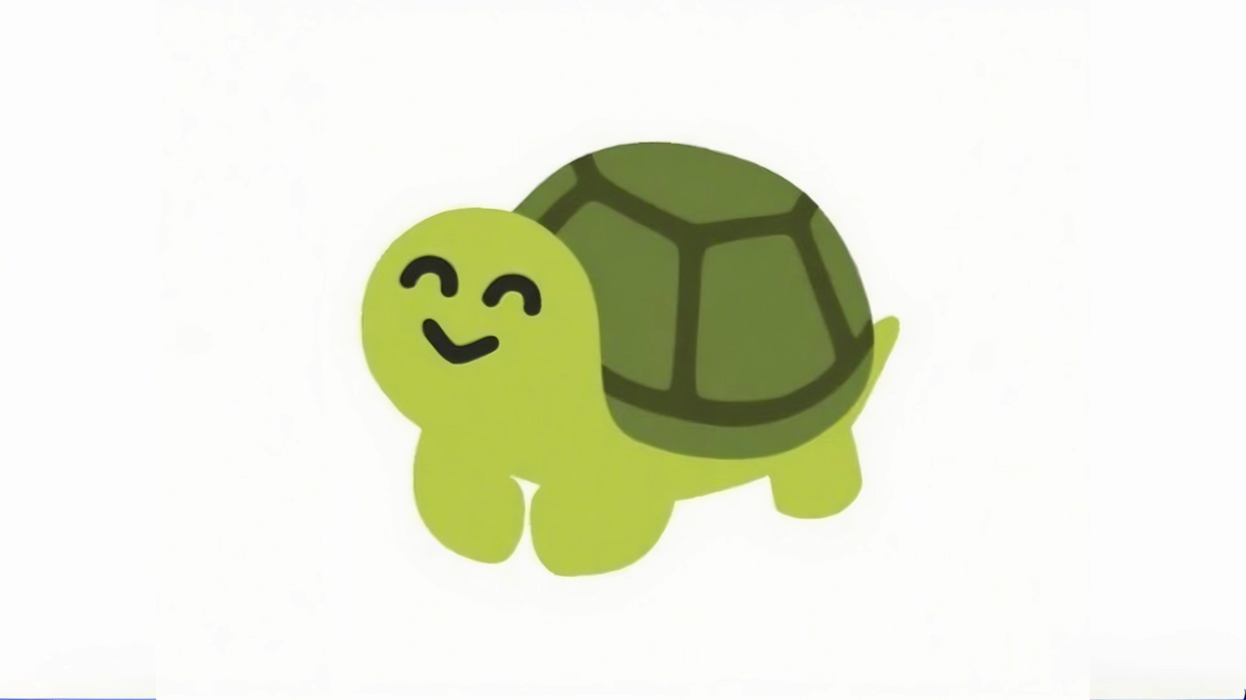 星点水龟，最喜欢的一种龟