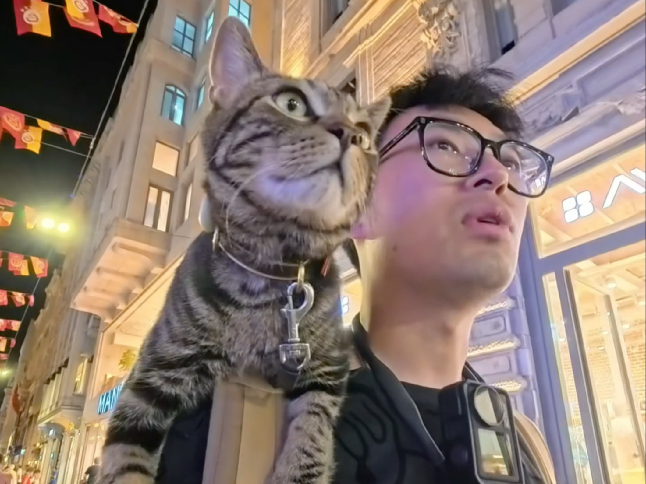 带狸花猫环游世界《爱猫之城伊斯坦布尔》