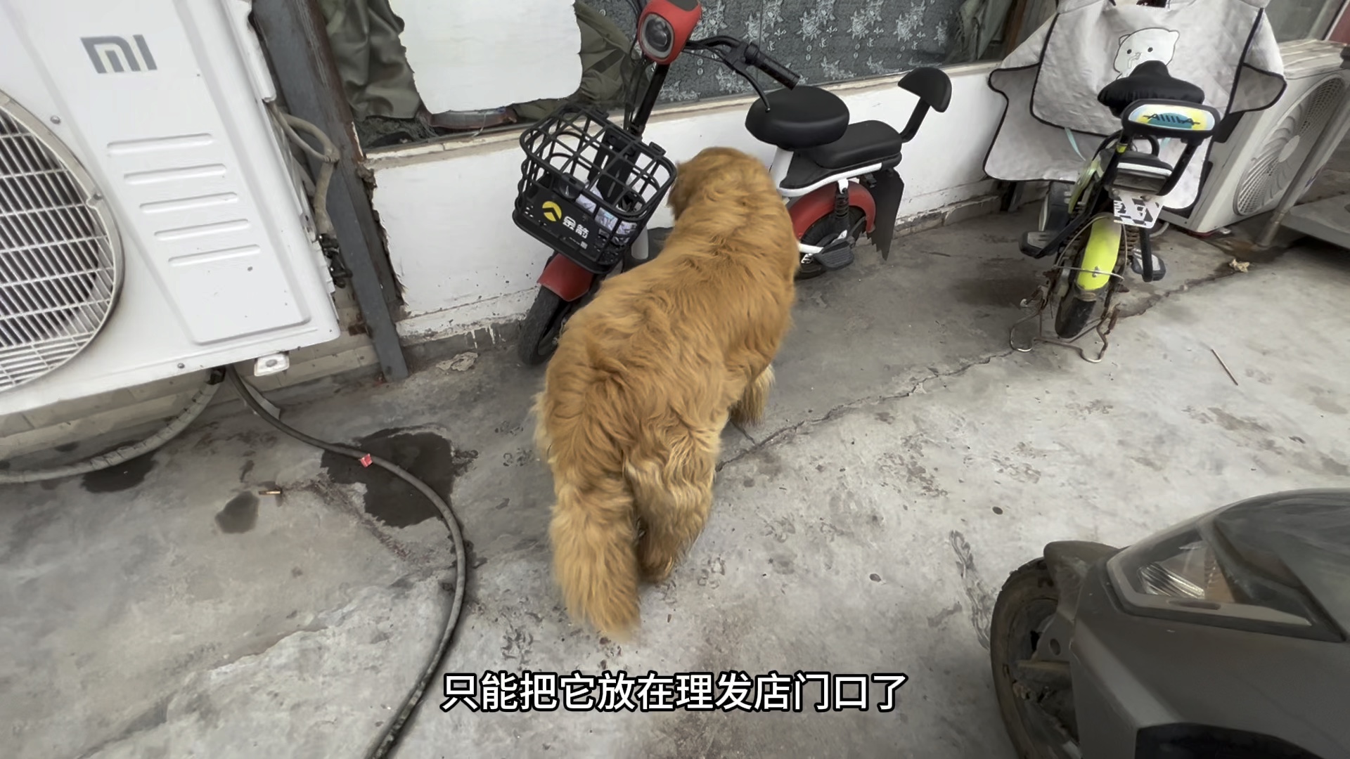今天团爸去街上剪头发。团团又死皮赖脸要跟着去