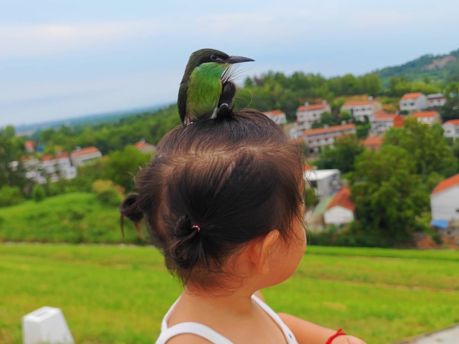 遛娃顺便带这只蜂虎出来飞飞，好久没来这地方放鸟了！