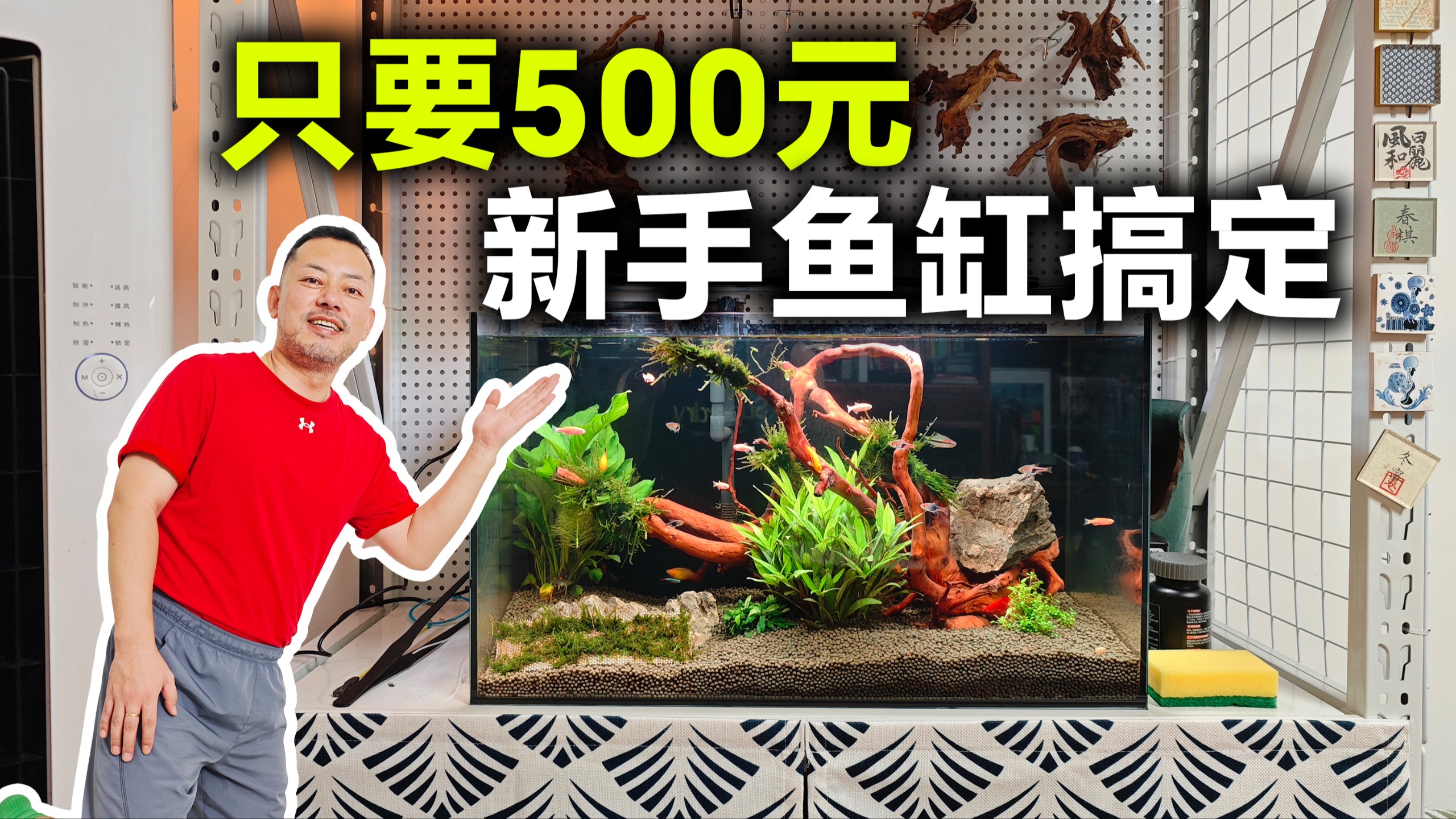 500搞定！新手鱼缸开缸的保姆级教程！