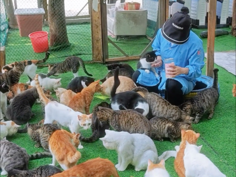 糗糗庄园最受猫猫喜爱的工作人员