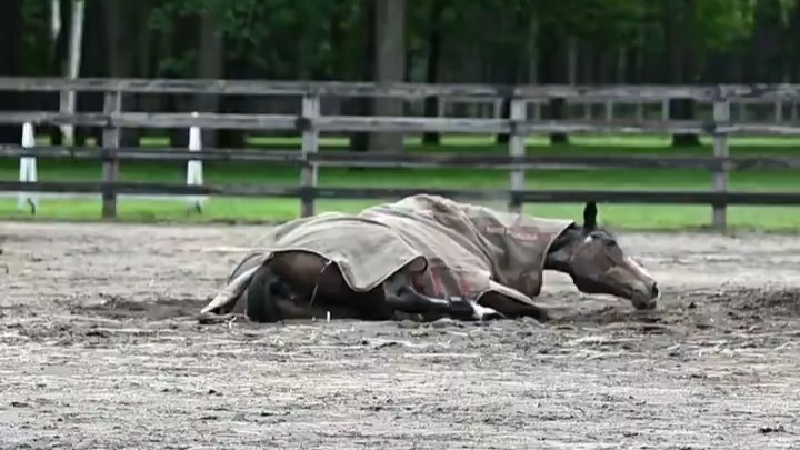 依然很有活力的秀发生风女士