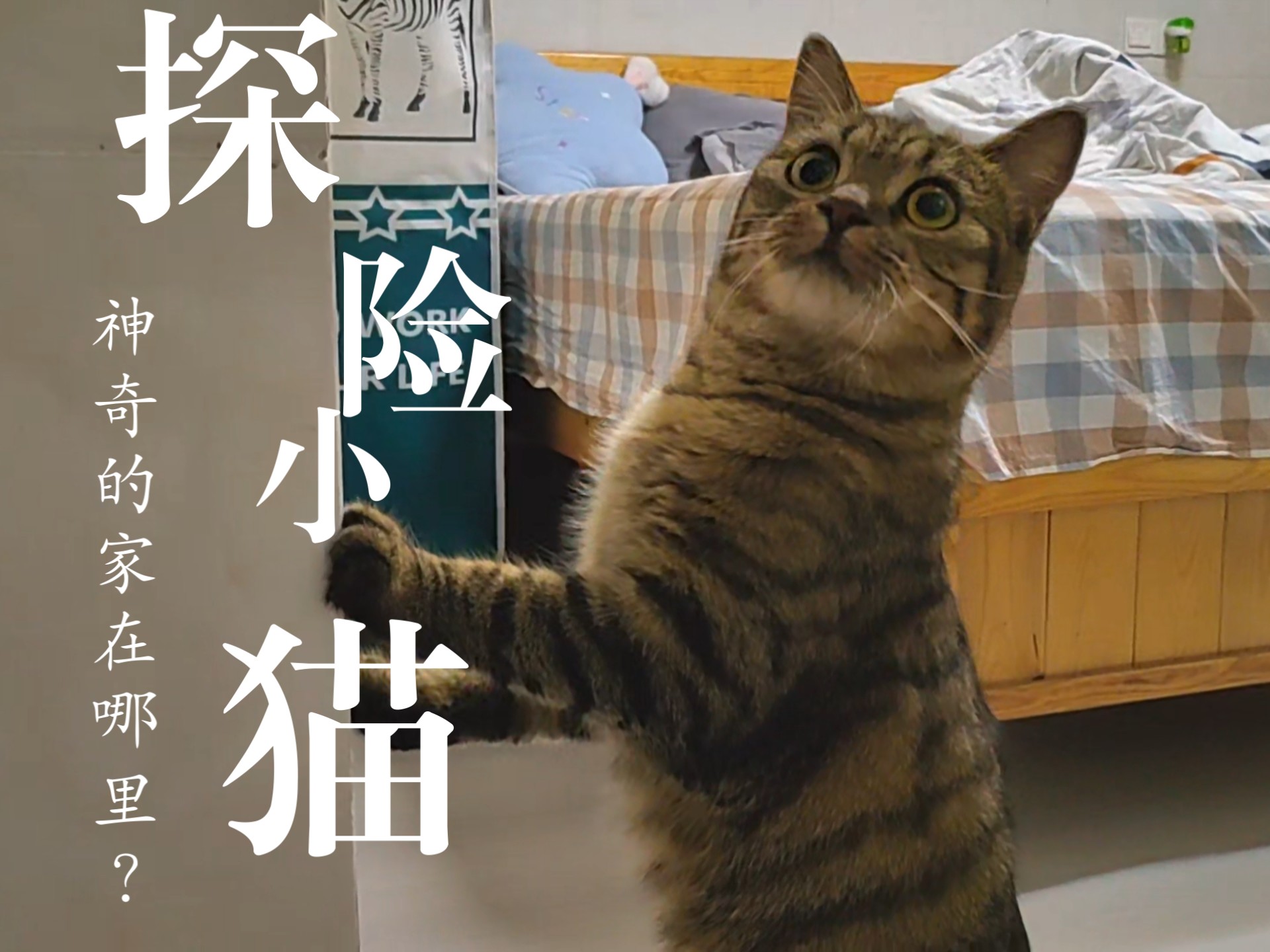 我搬家啦！
