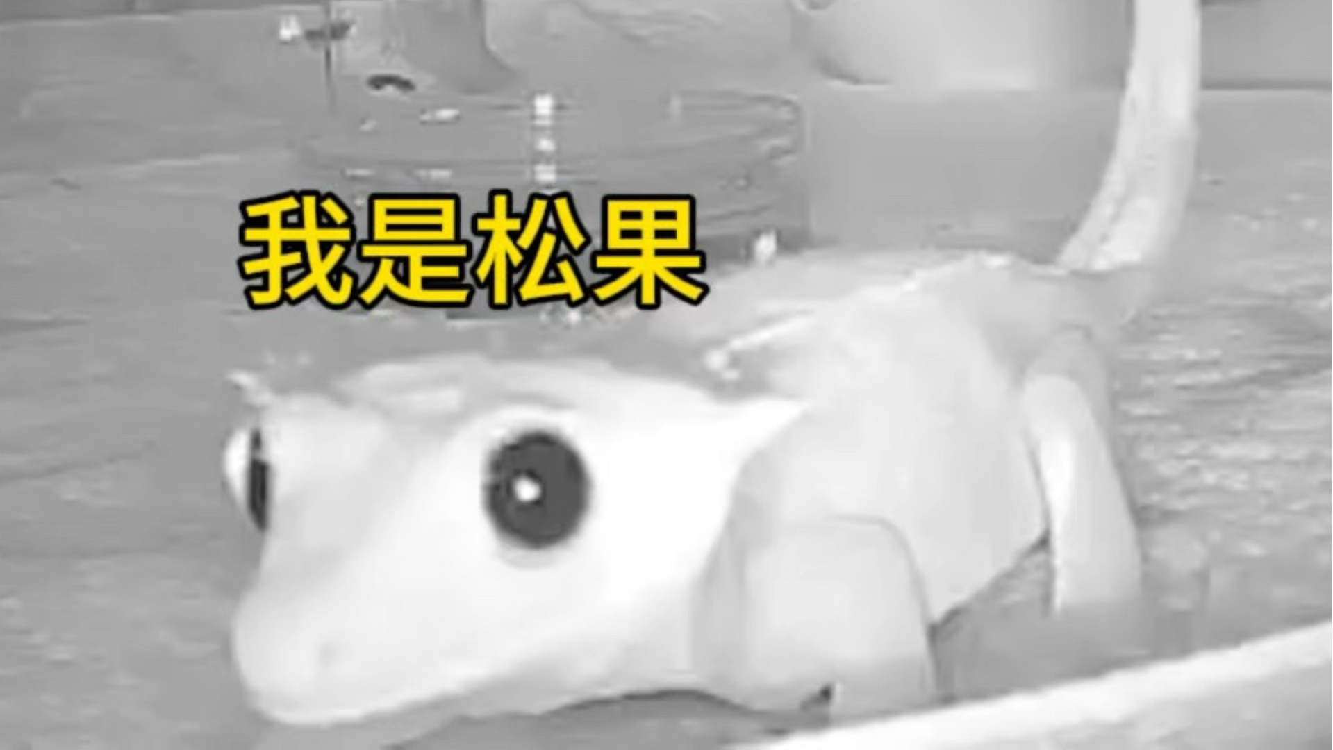 睫角买回来一直卡怎么办