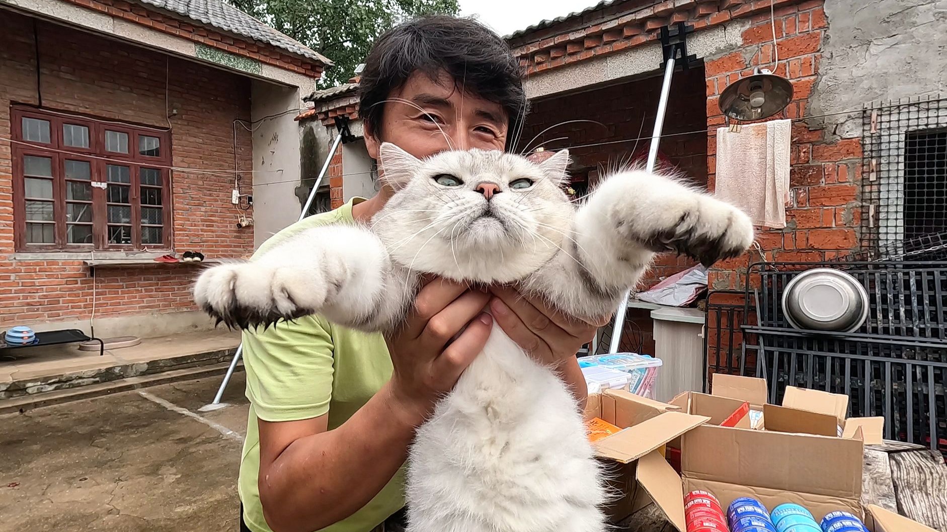 小猫们都好久没吃罐头了，谢谢文文，给大肥猫驱虫后一起吃大餐