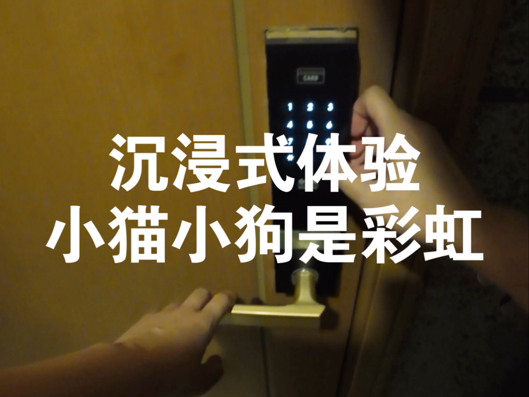 驱散阴霾的不止有彩虹，还有小猫小狗。