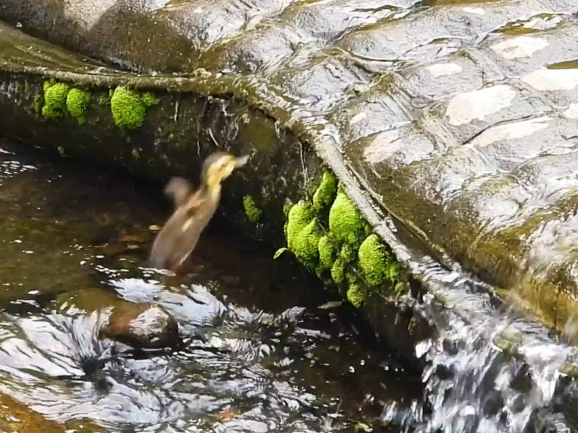 绝不放弃，终能上岸！