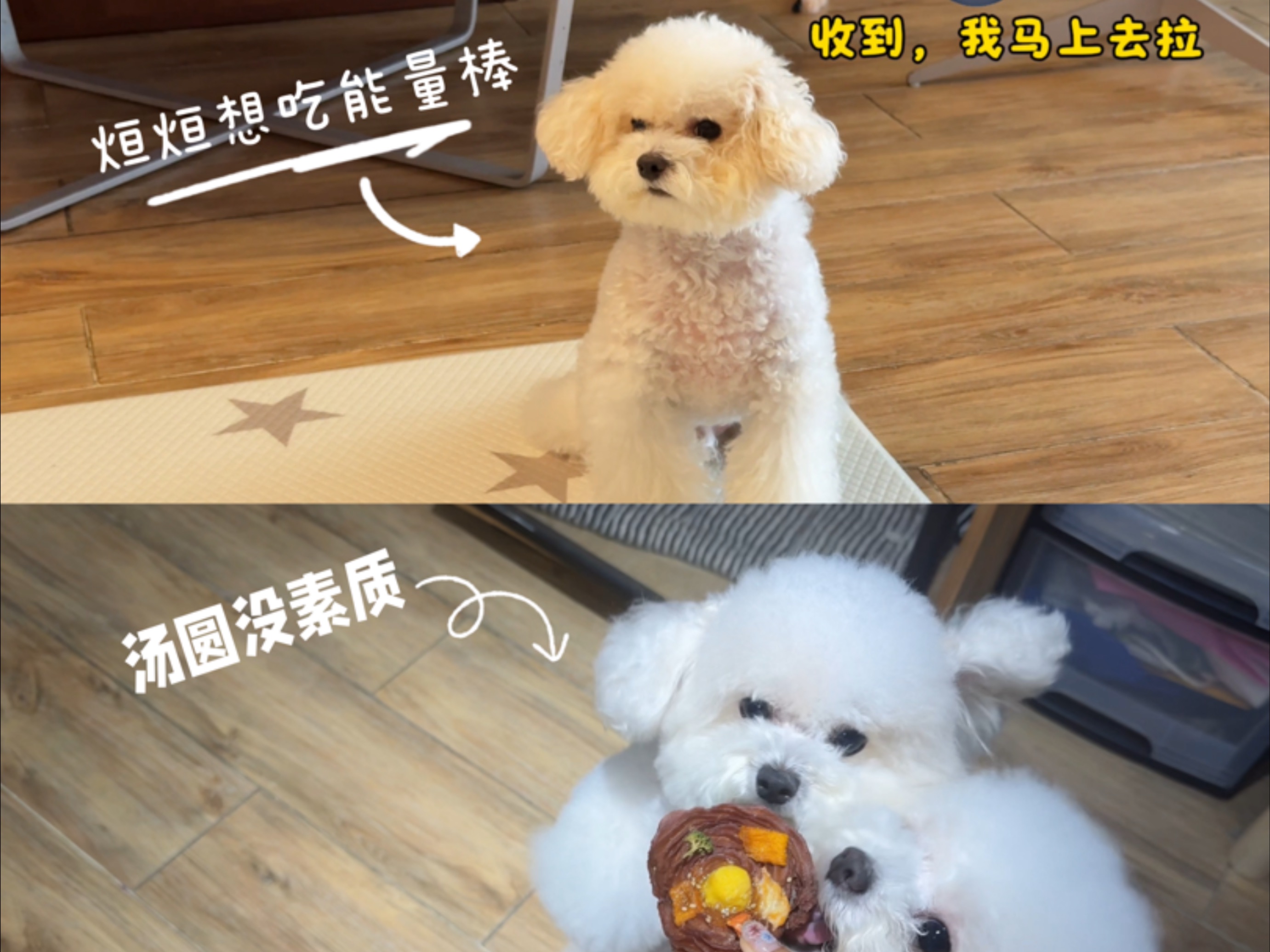 十五：没想到烜烜还有这种特殊要求，我得满足他啊！！