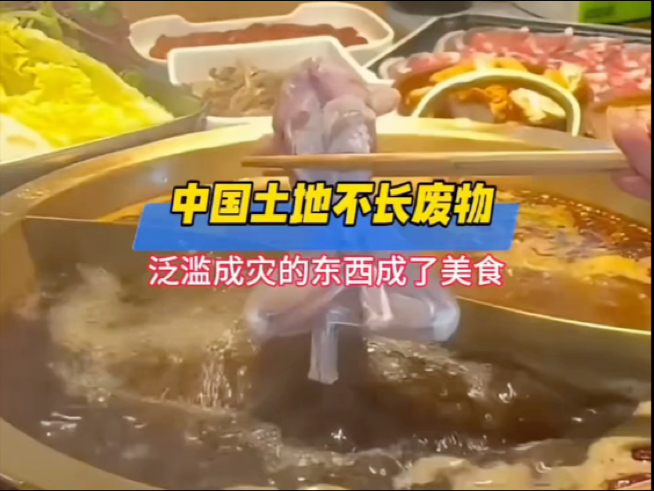 原来国外泛滥成灾的东西，来中国后也变成了美食？！#离谱 #入侵物