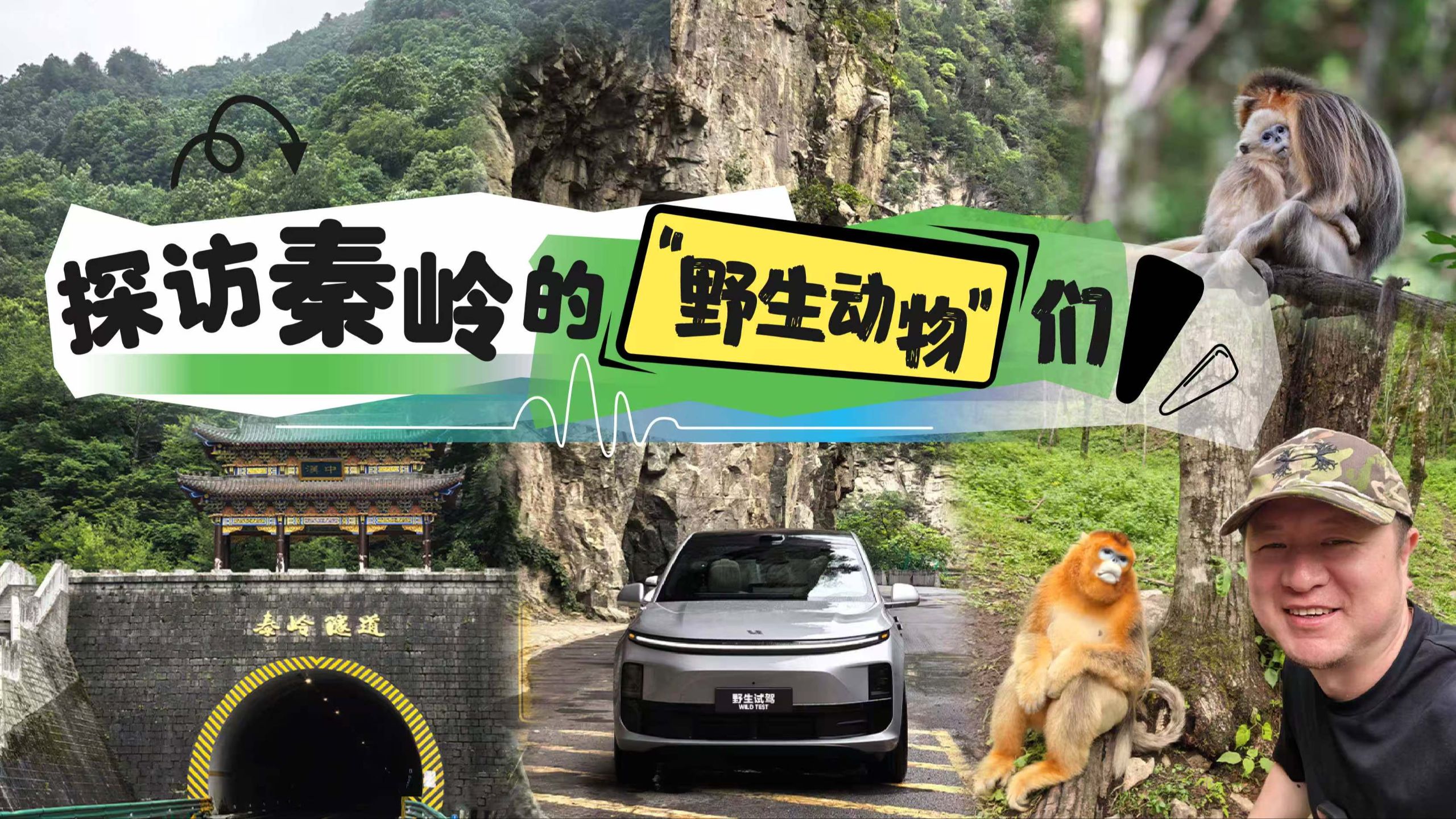 探访秦岭的“野生动物”们