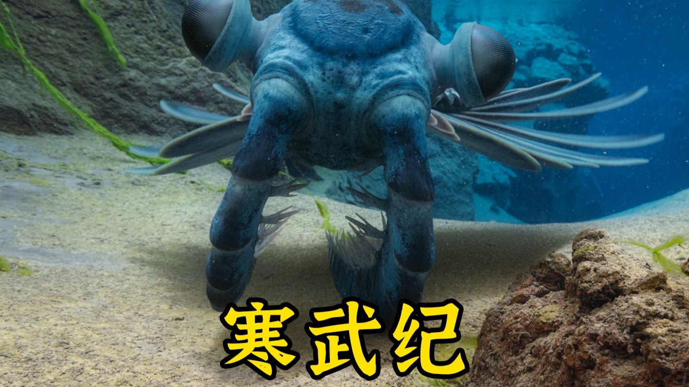 想你的风吹到了寒武纪