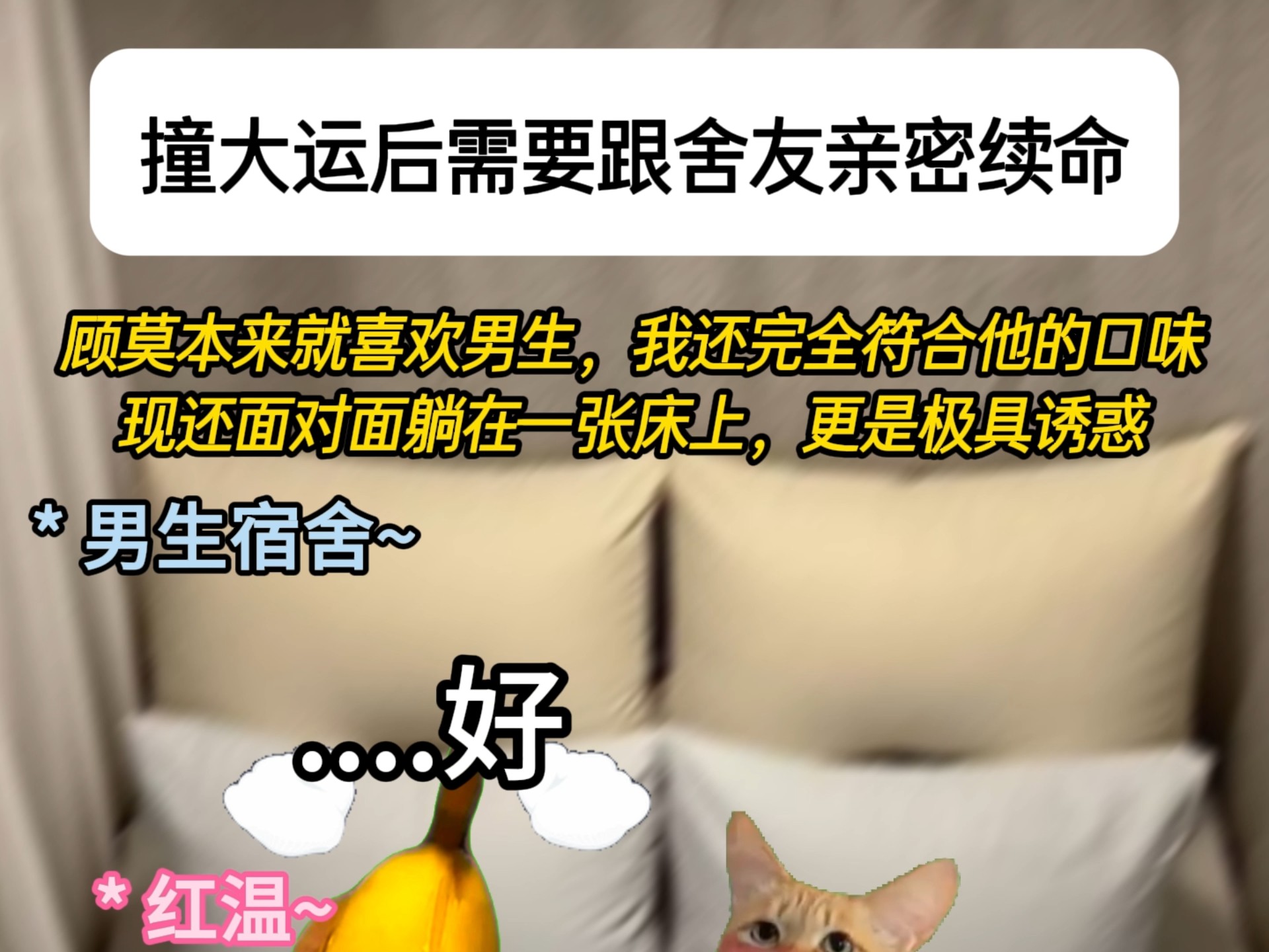 《远界冤家》2 如果生命只剩五分钟，但只要亲一下舍友就能活，你