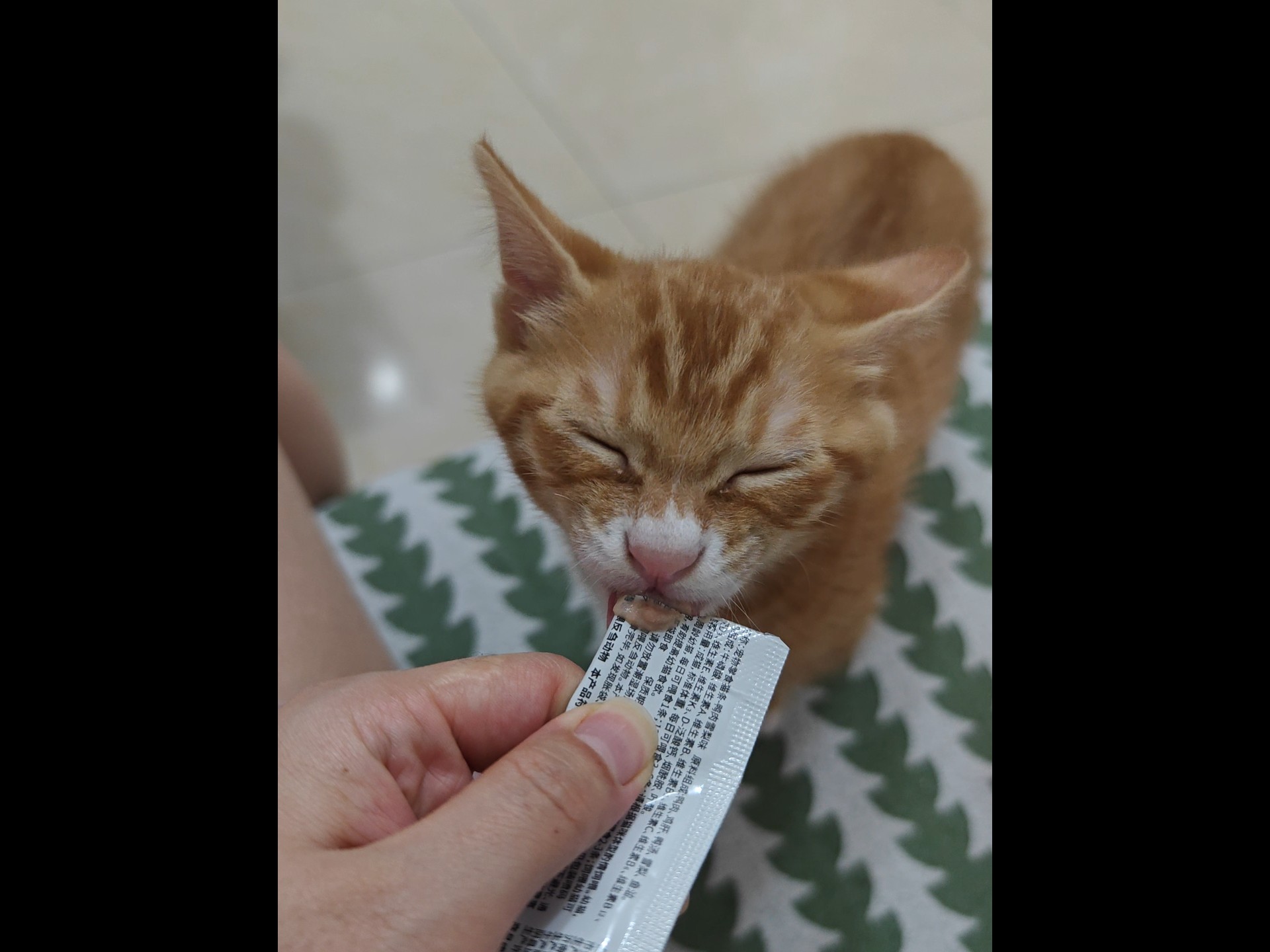 小独苗成长的第六十九天，吧唧吧唧干饭，眼睛眯起，真乖