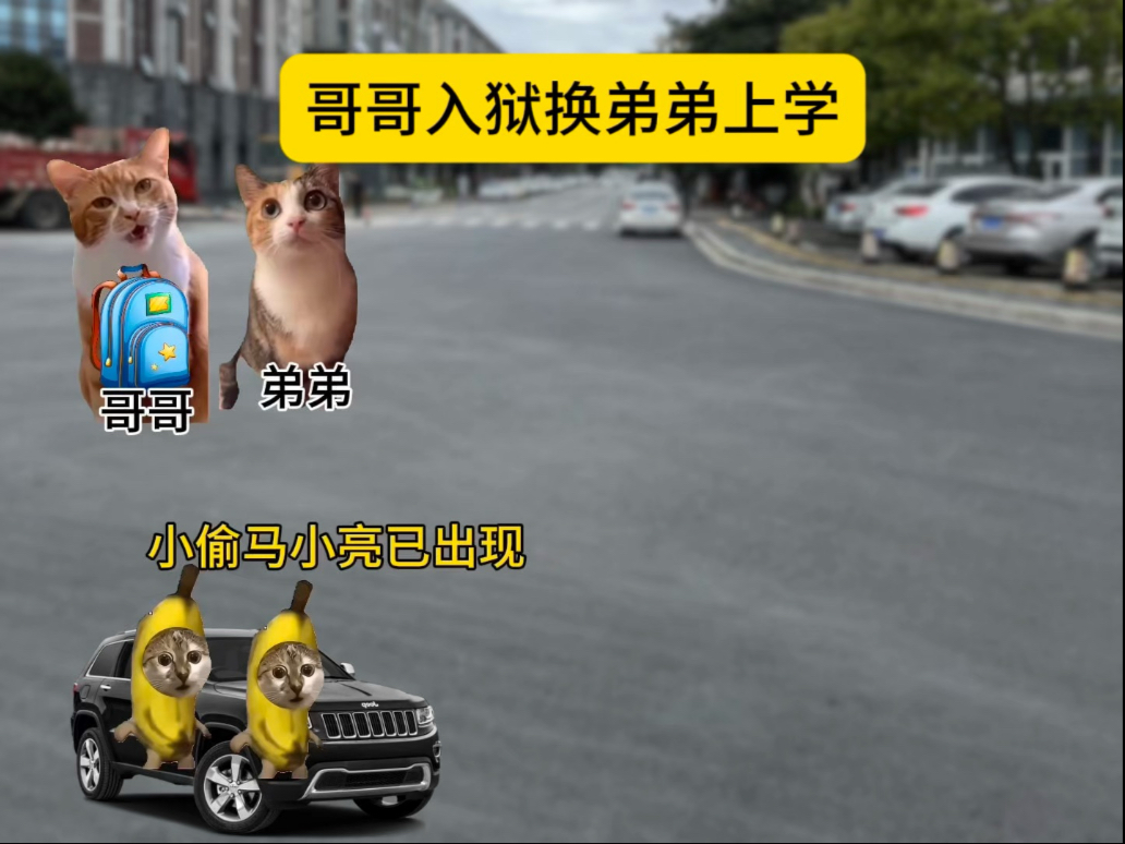 小偷哥哥为了让捡到的弟弟读书，潜伏多年，这次居然自投罗网