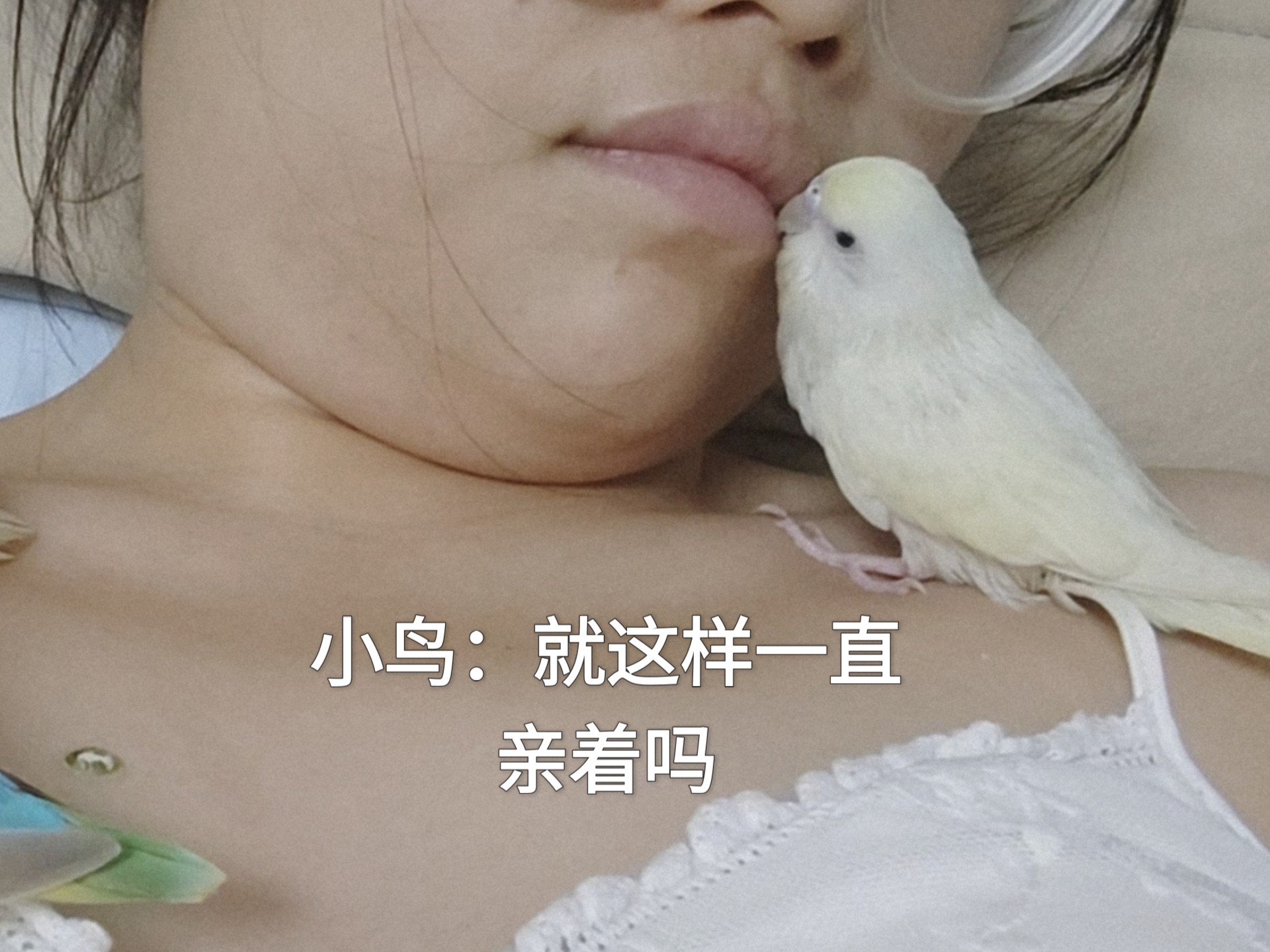 撞到小鸟的第22天，我们的关系有了突破性进展，在我身上待了很久