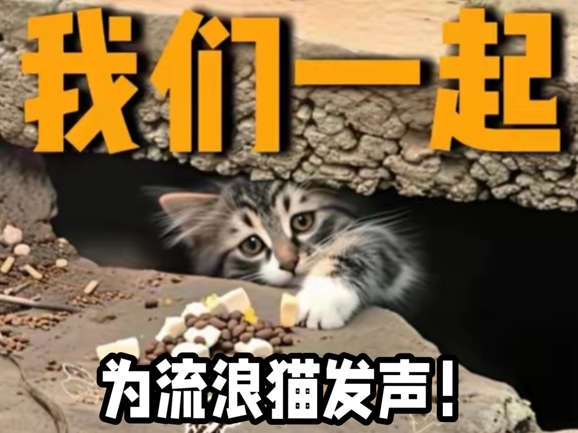 不爱请别伤害！！