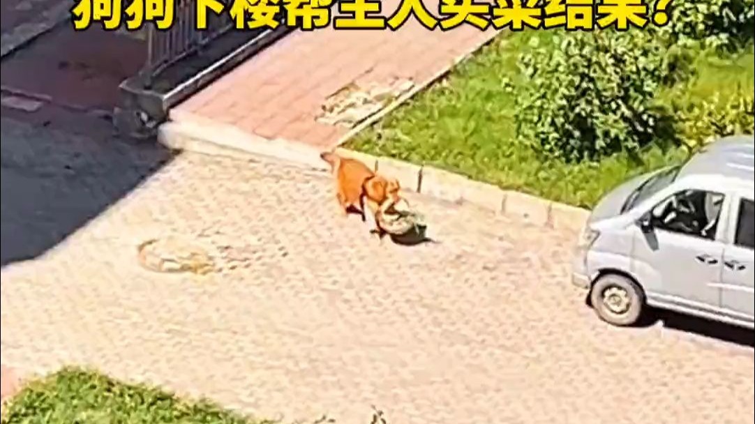 今天中午吃板鸭