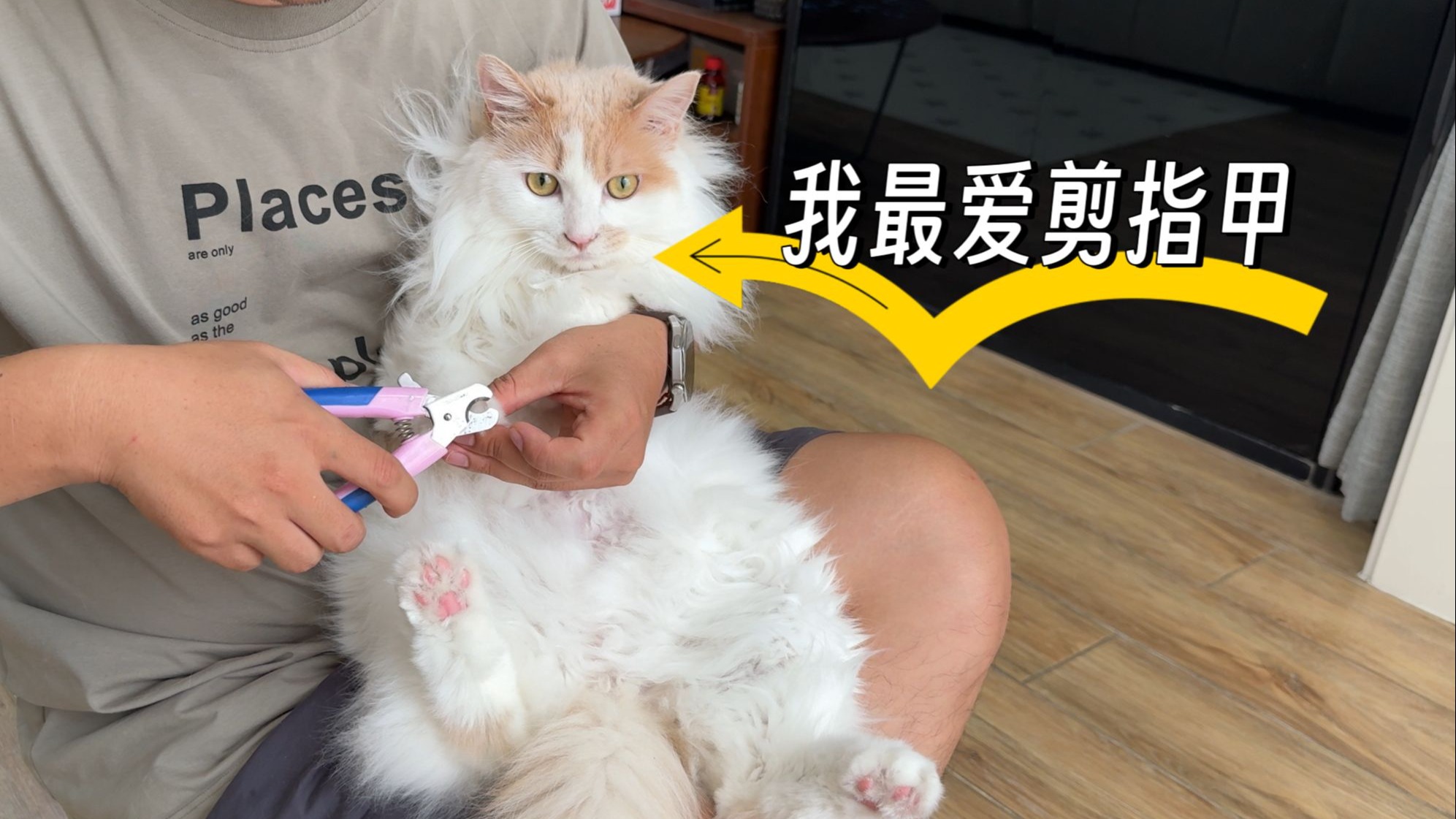 唤醒一只睡不醒的小猫，只需要这一步。