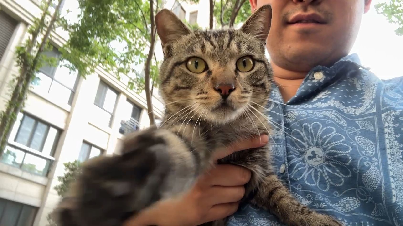 放归后它追了我半条街，却不愿离去…