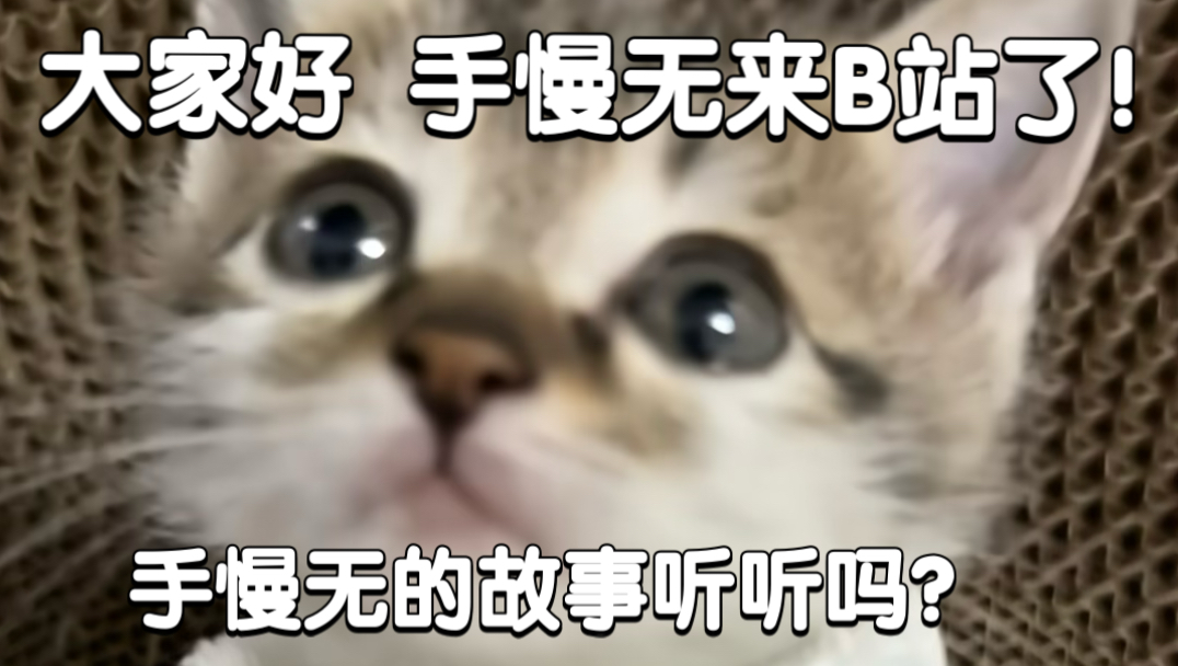小小手慢无的故事