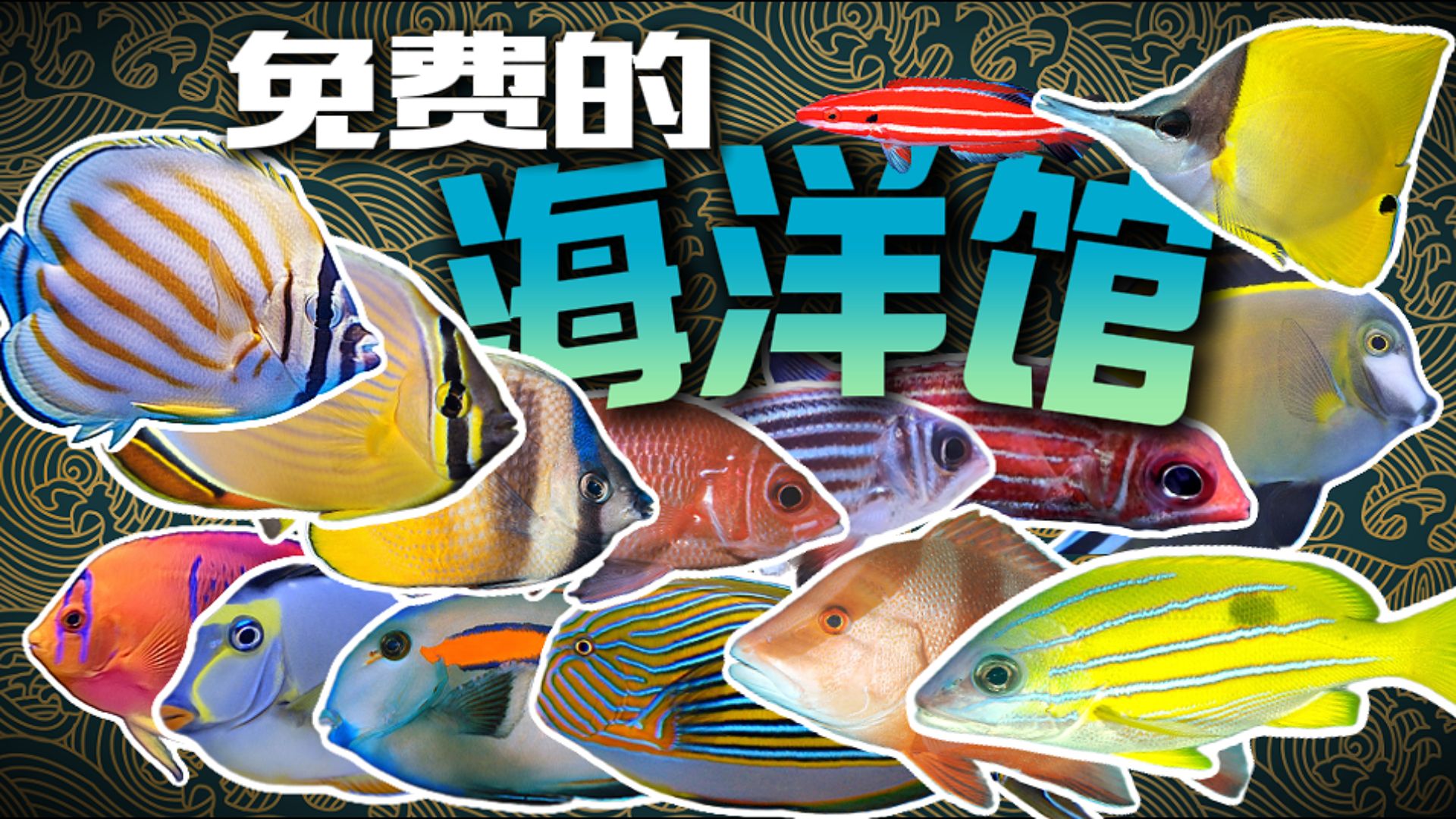 北京这栋破破烂烂的楼里藏着免费的海洋馆？放到全国也很炸裂了